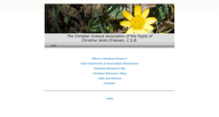 Desktop Screenshot of christinedriessen.com